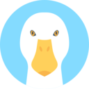 animals,wild life,animal kingdom,bird,animal,duck ok 