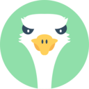 animals,wildlife,animal kingdom,zoo,bird,ostrich ok 