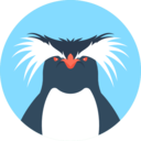 animals,wild life,animal kingdom,zoo,animal,penguin ok 