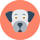 animals,mammal,pet,breed,dog,dog nose,animal