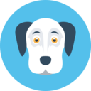 animals,mammal,pet,breed,dog,dog nose,animal