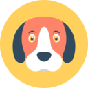 animals,mammal,pet,breed,dog,dog nose,animal