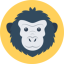 animals,mammal,wildlife,animal kingdom,zoo,monkey,primate ok 