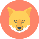 animals,mammal,wildlife,zoo,animal,wild,fox ok 