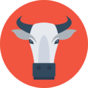 animals,mammal,wildlife,animal kingdom,zoo,dog,animal,gnu,wildebeest,gnu bash ok 