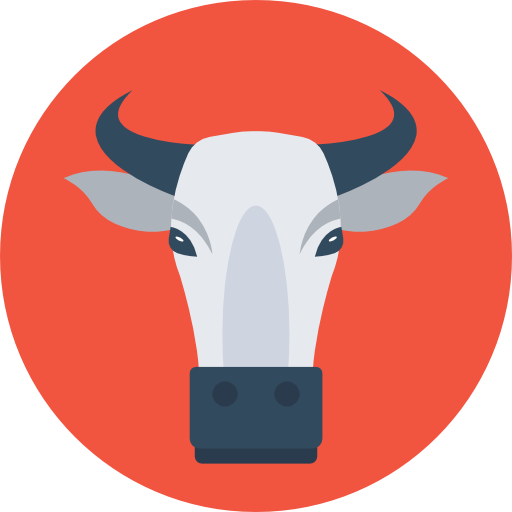 Wildebeest
