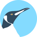 animals,wildlife,zoo,bird,animal,wild,penguin ok 