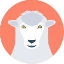 animals,animal,farm,farming,mammals,sheep,sheeps