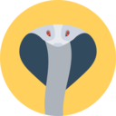 animals,snake,animal,dangerous,poison,venom,cobra ok 