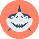 animals,aquarium,sea life,animal,aquatic,shark ok 