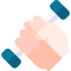Favicon