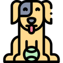 animals,mammal,pet,animal kingdom,dog,hobbies and free time
