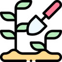 nature,plant,leaf,gardening,hobbies and free time,leaves,garden,smart farm,growing,enviroment,grow