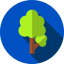 ecology and environment,ecology,nature,botanical,tree,gardening,garden,yard,fruit tree ok 