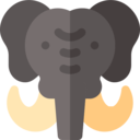 animals,mammal,wild life,animal kingdom,zoo,elephant,circus ok 