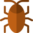 animals,bug,animal kingdom,insect,cockroach