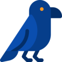 animals,bird,spooky,scary,halloween,horror,terror,fear,crow,raven