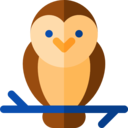 animals,wildlife,bird,animal,wild,owl
