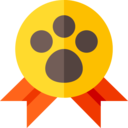 animals,pet,sports and competition,medal,dog,animal,training,prize,pawn