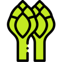 food,vegan,food and restaurant,vegetarian,healthy,cooking,cook,asparagus ok 