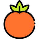 food,vegan,healthy food,food and restaurant,organic,diet,vegetarian,fruit,tomato