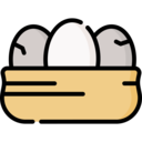 wildlife,pet,eggs,nature,animal kingdom,zoo,bird,farming and gardening,nest