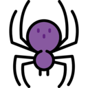 animals,animal kingdom,spider,insect,arachnid