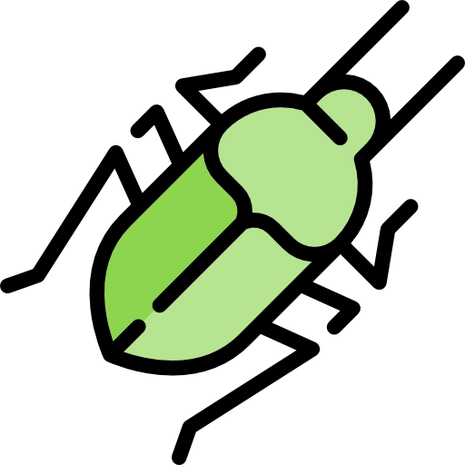 Beetle