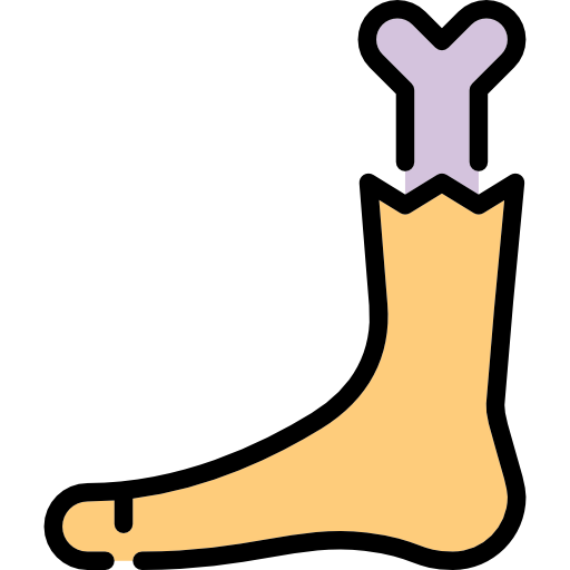 Foot