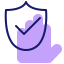 Computer Security icon 64x64