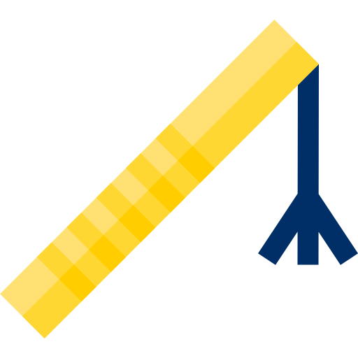 Crook