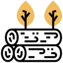 ecology and environment,tree,woods,forest,deforestation,timber,climate change