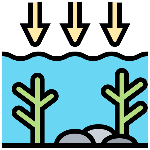 Ocean