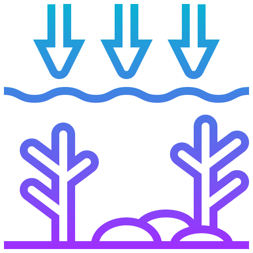 Ocean