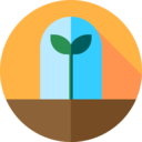 ecology and environment,nature,farming and gardening,tree,sprout,gardening,growing seed