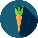 food,carrot,vegetable,vegan,healthy food,food and restaurant,organic,diet,vegetarian