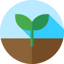 nature,plant,botanical,farming and gardening,leaf,leaves,garden,maturity