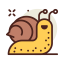 Spring icon 64x64