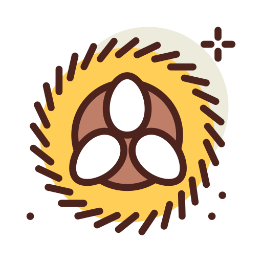 Eggs