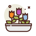 farming and gardening,bucket,blossom,bouquet,roses,flowers,rose