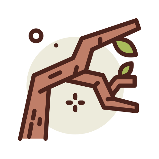 Branch