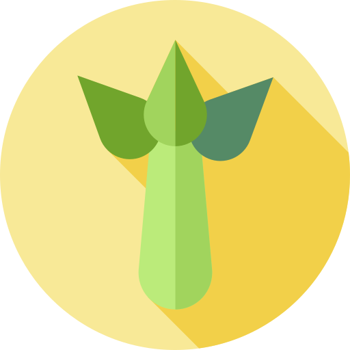 Celery