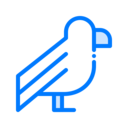 animals,bird,animal,pigeon,dove,fly,wings