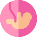 medical,healthcare and medical,body parts,kid and baby,anatomy,fetus,motherhood,pregnant,foetus