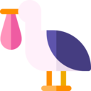 animals,people,bird,kid and baby,baby,stork,newborn,birth