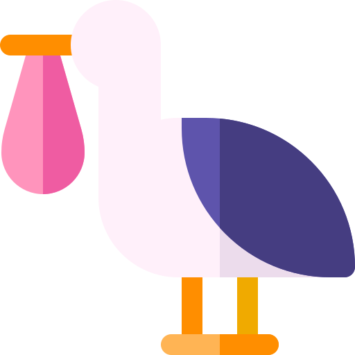 Stork