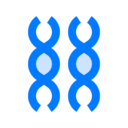 education,science,biology,genetical,dna structure,deoxyribonucleic acid,dna