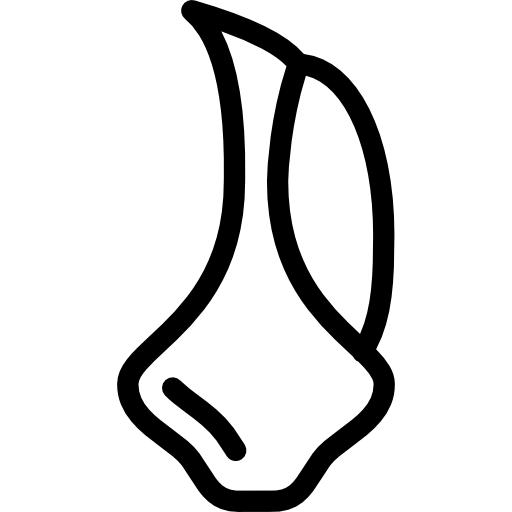 Oil