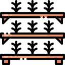 shelves,plant,farming and gardening,farm,agriculture,farming,gardening,planting,shelf