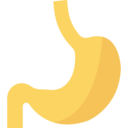 medical,healthcare and medical,body parts,organ,anatomy,stomach